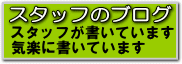 スタッフのブログ